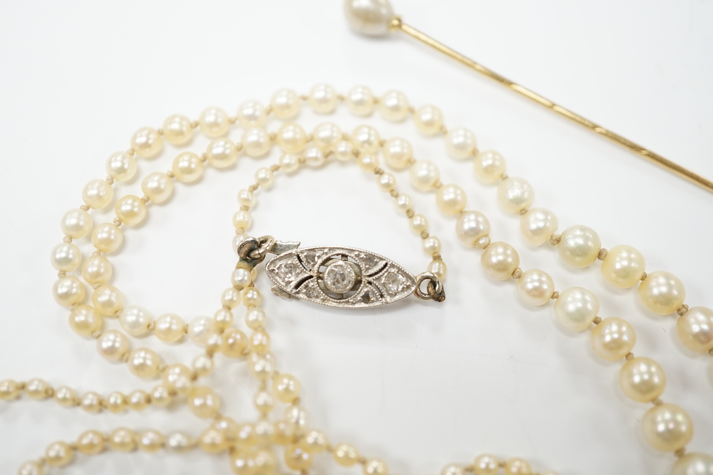 An early 20th century single strand graduated seed pearl necklace, with diamond set white metal clasp, 70cm, together with a cultured pearl set stick pin.